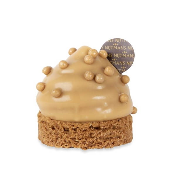 Blondie 600x600a Blondie 600x600a