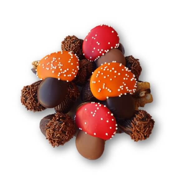 herfst chocolade assortiment