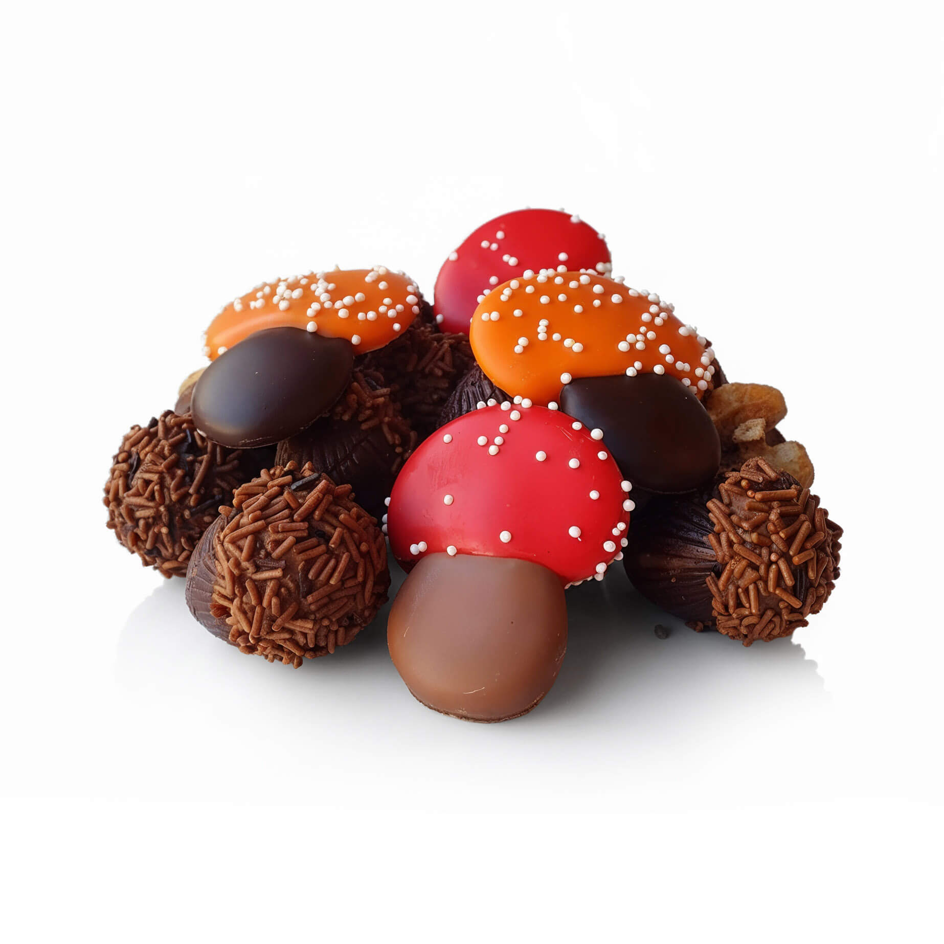 Herfst chocolade assortiment NEW Herfst chocolade assortiment NEW
