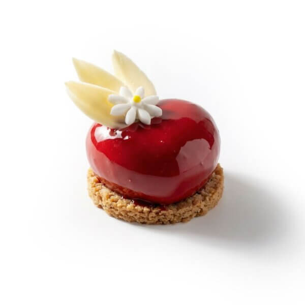 WhatsApp Image 2026 02 03 at 11.04.26 (1)