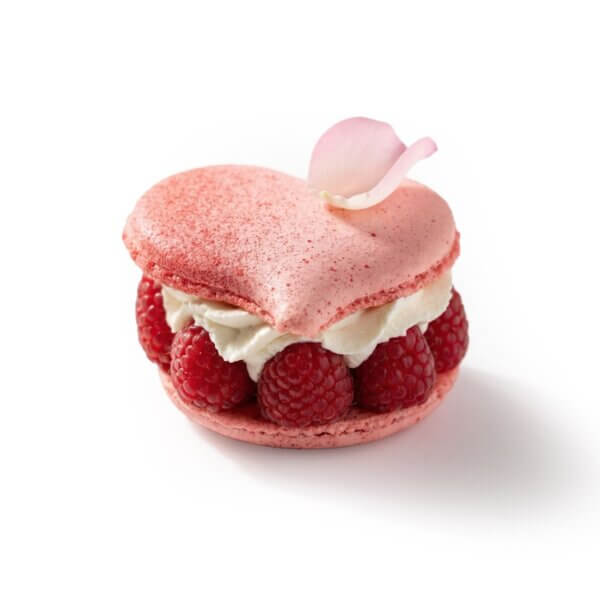 WhatsApp Image 2026 02 03 at 11.04.26 (2)