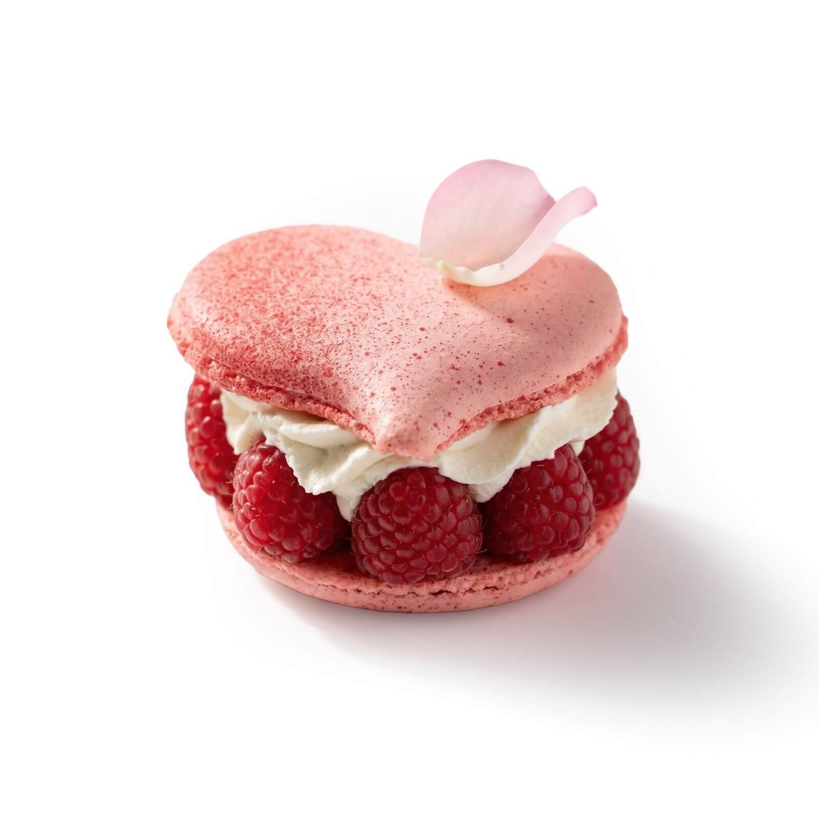 WhatsApp Image 2026 02 03 at 11.04.26 (2) WhatsApp Image 2026 02 03 at 11.04.26 (2)